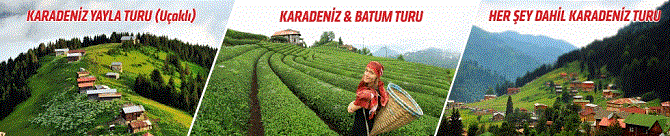 ayder-turizm-karadeniz-reklam-banner-980x200---kopya-001.gif