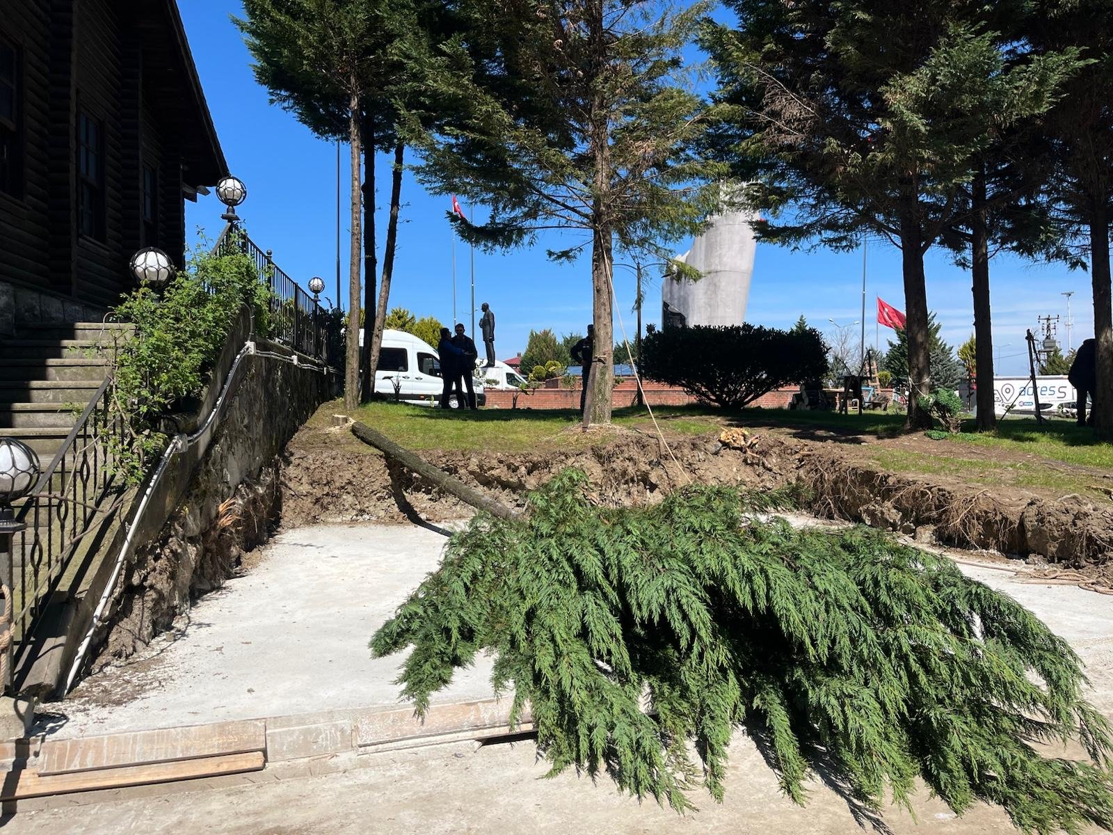 "RİZE ÇAYELİ‘NDE AĞAÇ KATLİAMI"