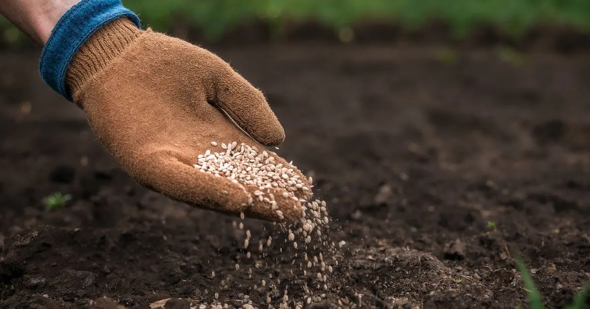 "GÜBRE KRİZİ İDDİALARINA DMM'DEN YALANLAMA"