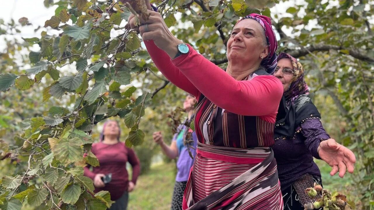 Fındıkta Kriz Meclis’te!
