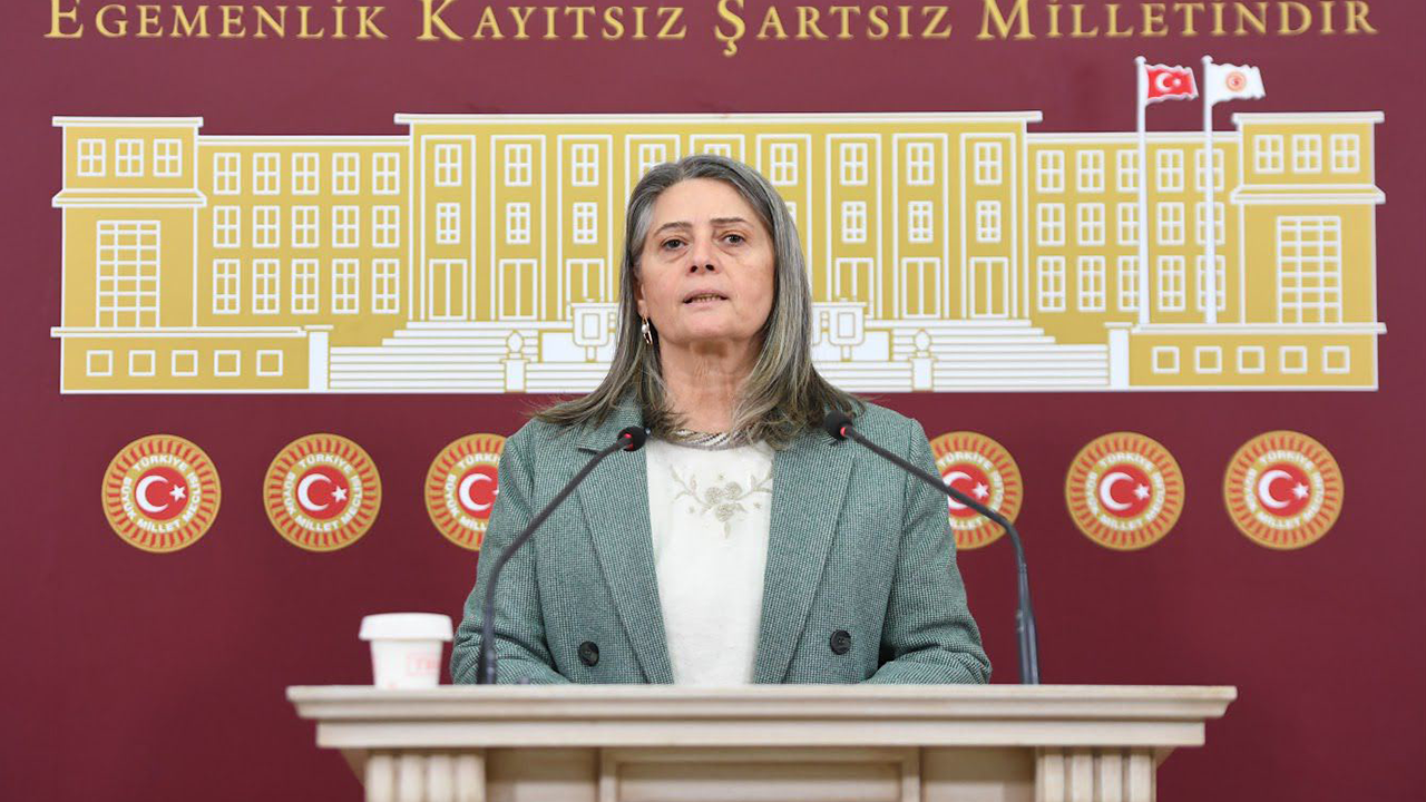 Suiçmez: “6284 Eksiksiz Uygulansın”