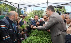 "AKÇAABAT BELEDİYESİ 10 BİN ADET SEBZE FİDAN DAĞITTI"