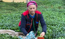 “ÇAY ÜRETİCİSİNİN ALIN TERİ, ÖZEL SEKTÖRÜN İNSAFINA BIRAKILAMAZ.”