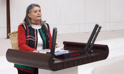 “FINDIKTA BU FİYAT, EMEK SAYGISIZLIĞIDIR!”