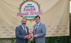"FOŞA FINDIĞI HASATI BÜYÜK İLGİ GÖRDÜ"