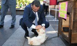 “SOKAKTA YAŞAYAN HER CANLININ SAHİBİ OLMALI”