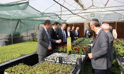 "AKÇAABAT’TA TARIMSAL ÜRETİME BELEDİYE DESTEĞİ DEVAM EDİYOR"