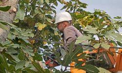 "BÜYÜKŞEHİR'DEN SONBAHAR TEMİZLİĞİ"