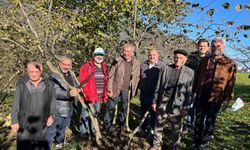 "AKÇAABAT ZİRAAT ODASI’NDAN FINDIK ÜRETİCİLERİNE EĞİTİM SEFERBERLİĞİ"