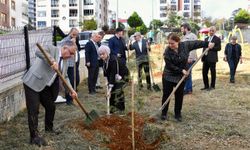 "ŞEHİT ÖĞRETMENLERİN ANISI, FİDANLARLA YAŞAYACAK"