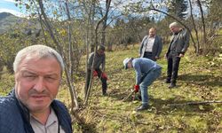 "DÜZKÖY’DE FINDIK ÜRETİCİLERİNE BUDAMA EĞİTİMİ"