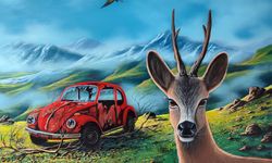 “DOĞA VE ÇIRPINIŞ RESSAM SELMAN UZUN’UN KİŞİSEL SERGİSİ"