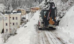 "BÜYÜKŞEHİR'İN KIŞ MESAİSİ BAŞLADI"