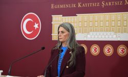 “AÇLIK SINIRININ ALTINDA ASGARİ ÜCRET AÇIKLAMAK, ÇALIŞANLA VE EMEKÇİYLE DALGA GEÇMEKTİR"
