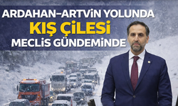 "ARDAHAN–ARTVİN YOLUNDA KIŞ ÇİLESİ MECLİS GÜNDEMİNDE"