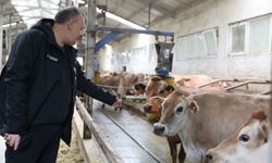 "TRABZON’DA BUZAĞI ÖLÜMLERİNİ AZALTMAYA YÖNELİK İŞLETME ZİYARETİ"