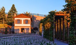 "BÜYÜKŞEHİR’DEN PEYZAJDA YERLİ ÜRETİM HAMLESİ"