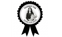 "EĞİTİMDE ŞİDDET CAN ALIYOR ARTIK YETER"