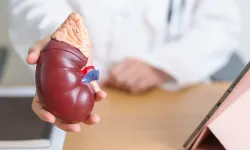 "DÜNYA BÖBREK GÜNÜ: 850 MİLYON KİŞİYİ ETKİLEYEN HASTALIK"