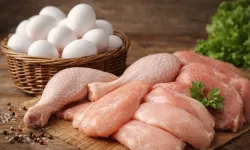 "OCAKTA TAVUK ETİ VE YUMURTA ÜRETİMİNDE ARTIŞ"