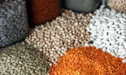 "TÜRKİYE’NİN GIDA İHRACATI 2026'DA 1,9 MİLYAR DOLARA ULAŞTI"