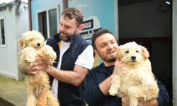 "ORTAHİSAR BELEDİYESİ’NDEN ‘DÜNYA SOKAK HAYVANLARI GÜNÜ’NDE ANLAMLI ÇAĞRI"