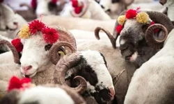 "2026 KURBAN UYGULAMA ESASLARI RESMİ GAZETE’DE"