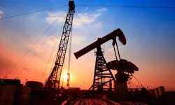 "BRENT PETROL 94,96 DOLARDAN İŞLEM GÖRÜYOR"