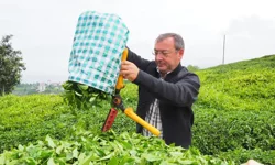 “ÇAYKUR GENEL MÜDÜRÜ YUSUF ZİYA ALİM, ÇAYKUR İŞÇİLERİNİN KADRO BEKLENTİSİ İÇİN KONUŞTU”