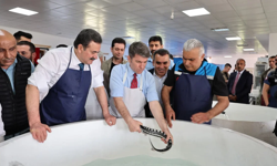 “SİYAH İNCİ” KARADENİZ’E DÖNÜYOR