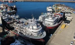 “KARADENİZ’DE AV SEZONU SONA ERDİ: BEKLENTİLER KARŞILANMADI”