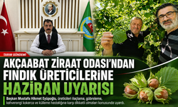 AKÇAABAT ZİRAAT ODASI’NDAN FINDIK ÜRETİCİLERİNE HAZİRAN AYI UYARISI