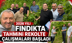 2026 YILI FINDIKTA TAHMİNİ REKOLTE ÇALIŞMALARI BAŞLADI
