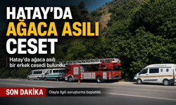 HATAY'DA AĞACA ASILI CESET