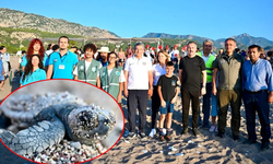 Caretta Carettalar Denizle Buluştu