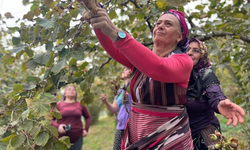 Suiçmez’den Fındık İçin 350 TL Çağrısı