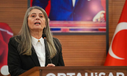 Suiçmez: Sanatevine Dokunmayın