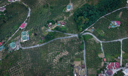 Akçaabat’ta Yol Mesaisi