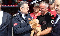 Trabzon İtfaiyesine 9 Yeni Araç