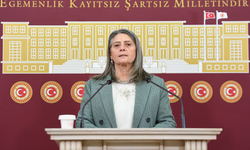 Suiçmez: “6284 Eksiksiz Uygulansın”