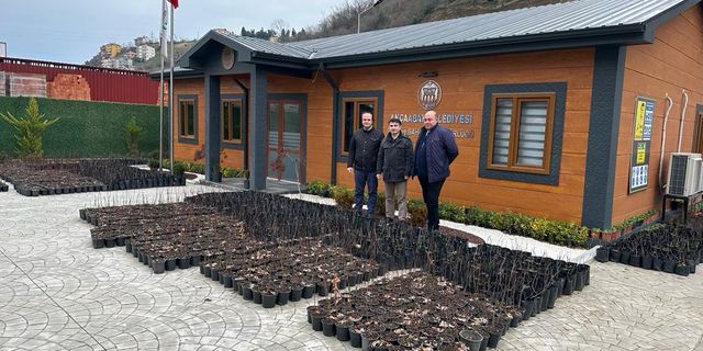 Süper Meyve Aronya Akçaabat’ta Merkez Üssü Oluyor