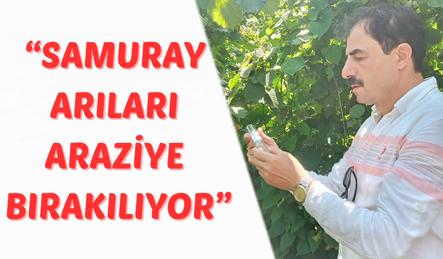 “SAMURAY ARILARI ARAZİYE BIRAKILIYOR”