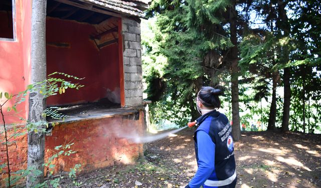 "TRABZON’DA TARIM ZARARLISINA KARŞI YOĞUN İLAÇLAMA"