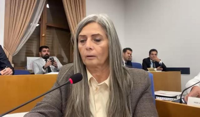 "CHP’Lİ SİBEL SUİÇMEZ’DEN BAKAN URALOĞLU’NA PLAN BÜTÇE KOMİSYONU’NDA SERT ELEŞTİRİLER"