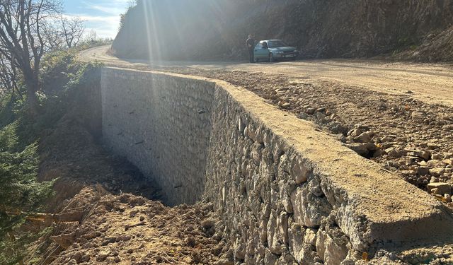 "BÜYÜKŞEHİR TAŞ DUVARLARLA GÜVENLİ YOLLAR OLUŞTURUYOR"