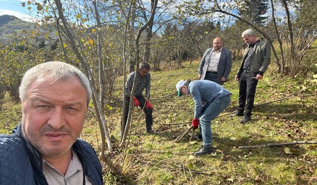 "DÜZKÖY’DE FINDIK ÜRETİCİLERİNE BUDAMA EĞİTİMİ"