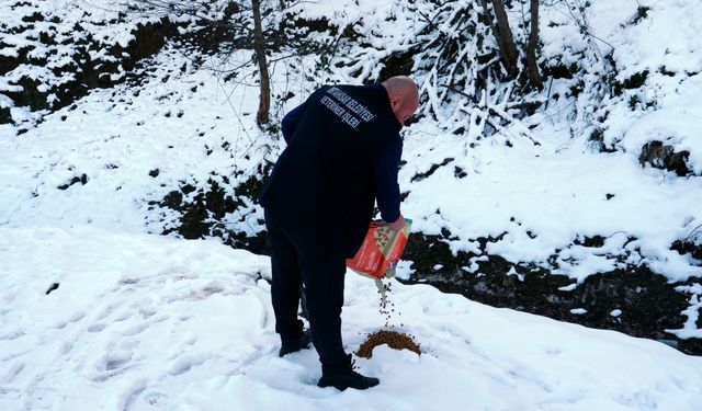 "ORTAHİSAR BELEDİYESİ, SOĞUK KIŞ GÜNLERİNDE SOKAK HAYVANLARINI UNUTMADI"
