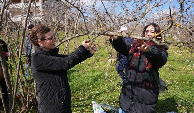 "ORTAHİSAR BELEDİYESİ’NDEN FINDIK ÜRETİCİLERİNE EĞİTİM DESTEĞİ"