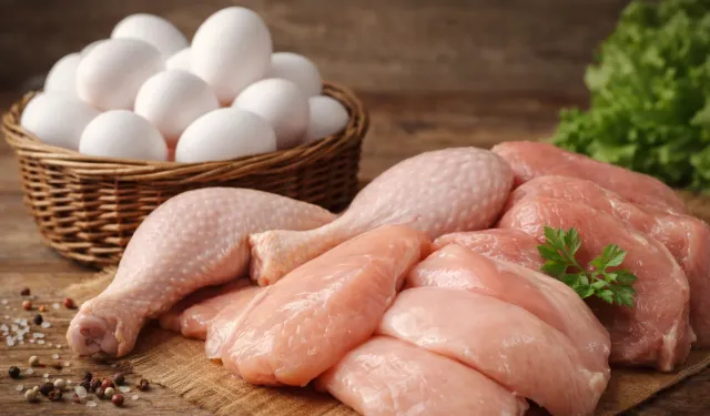 "OCAKTA TAVUK ETİ VE YUMURTA ÜRETİMİNDE ARTIŞ"