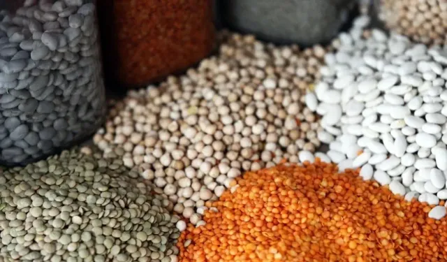 "TÜRKİYE’NİN GIDA İHRACATI 2026'DA 1,9 MİLYAR DOLARA ULAŞTI"